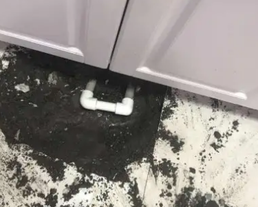 随州市查漏水哪家好